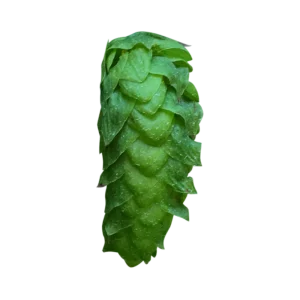 UK CASCADE