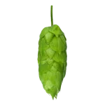 Lúpulo waimea