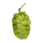 Lúpulo wakatu