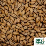 Primer plano de malta Pale Ale