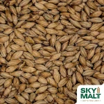 Primer plano de malta Pilsner