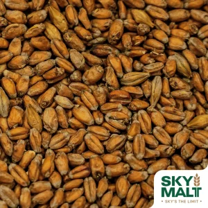 Malta de Trigo